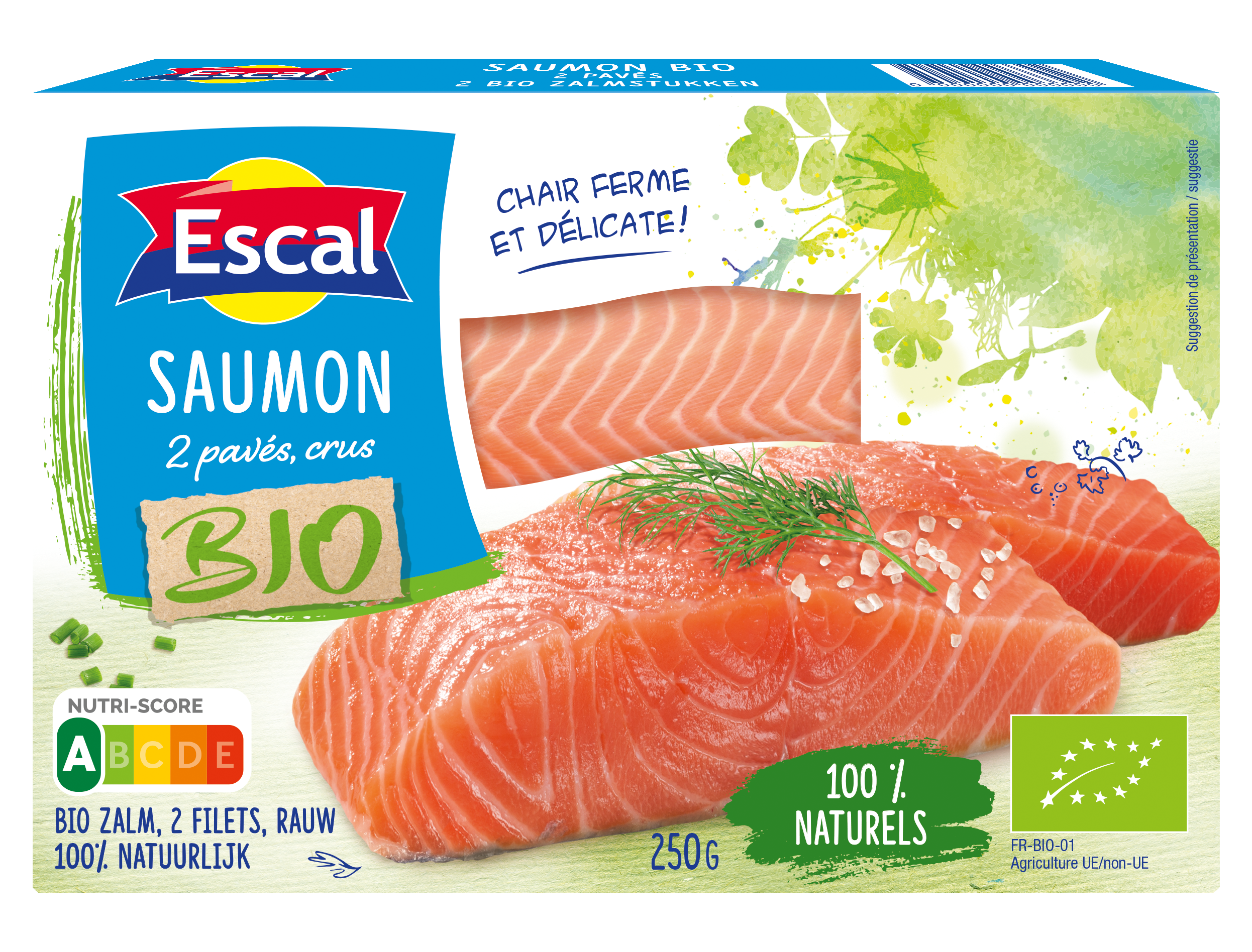 2 pavés de saumon bio