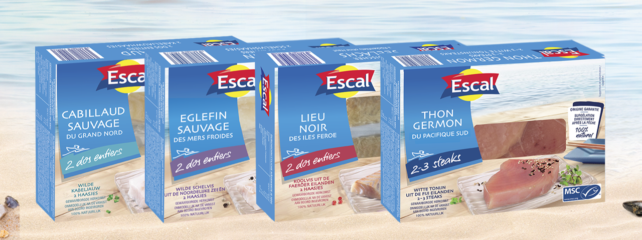 Nouveautés produits