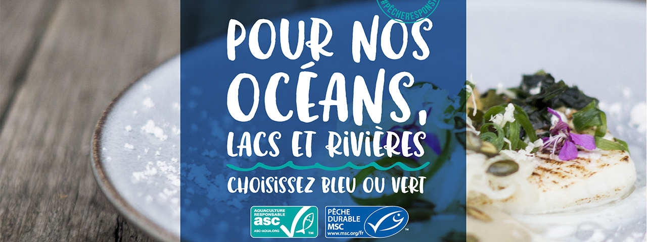 La Semaine de la Pêche Responsable en Belgique