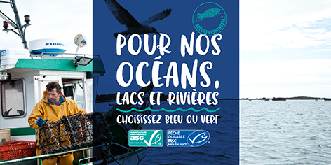 C’est la Semaine de la Pêche Responsable 2018 en Belgique !